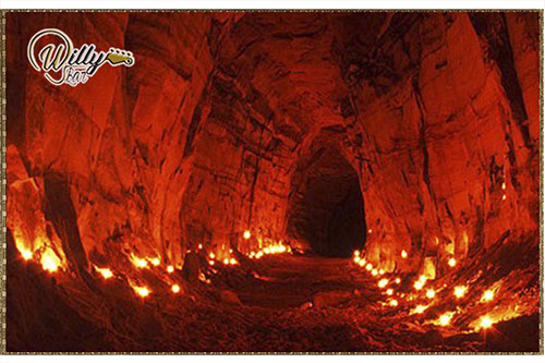 Willy bar - Gigantografia